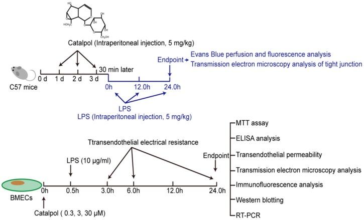 https://cdn.ncbi.nlm.nih.gov/pmc/blobs/7b7f/6225311/dc84bcd8e70c/molecules-23-02371-g002.jpg