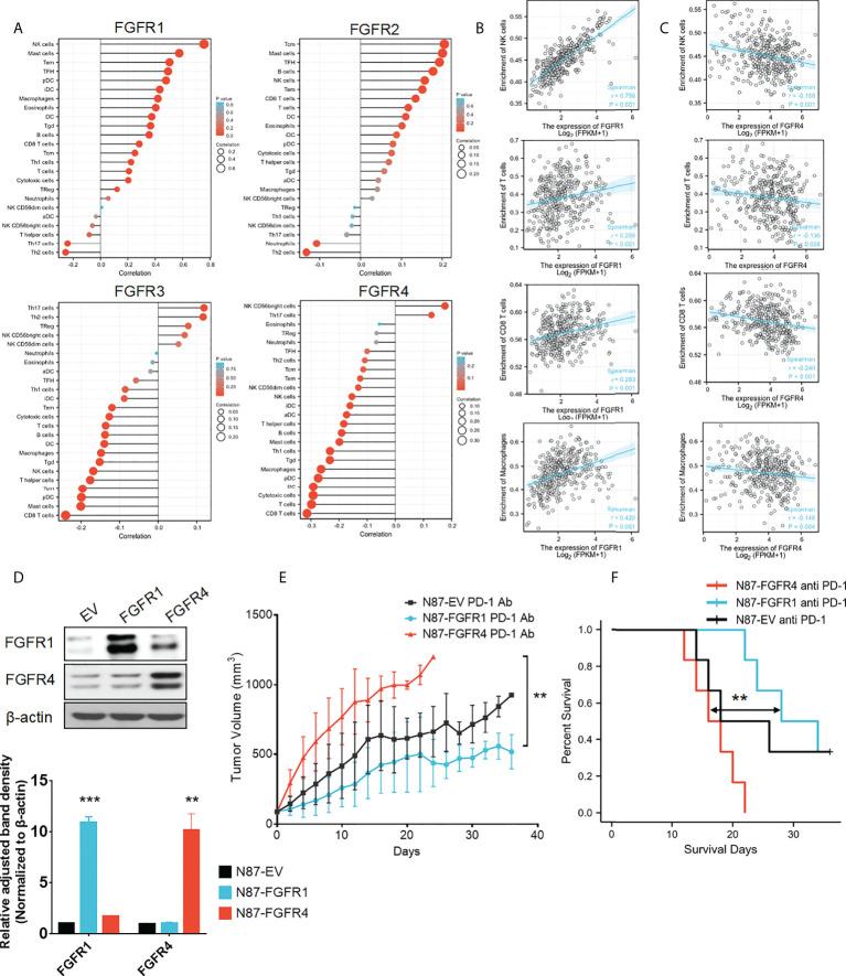 https://cdn.ncbi.nlm.nih.gov/pmc/blobs/7b7f/9487308/c62fbd174bc9/fonc-12-936952-g007.jpg
