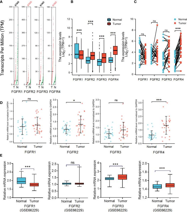 https://cdn.ncbi.nlm.nih.gov/pmc/blobs/7b7f/9487308/dd51ebc3741f/fonc-12-936952-g001.jpg