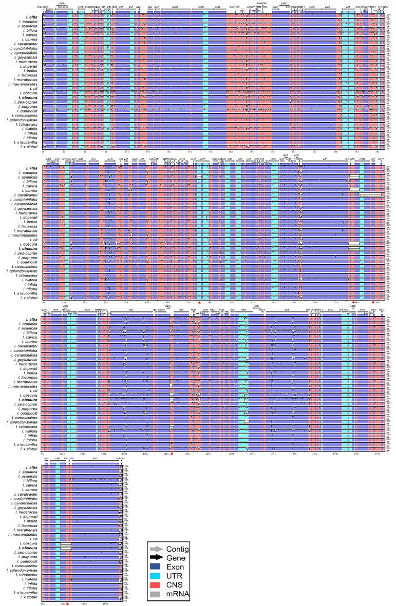 https://cdn.ncbi.nlm.nih.gov/pmc/blobs/7b80/11189557/3d0cdcb248ae/41598_2024_64879_Fig4_HTML.jpg
