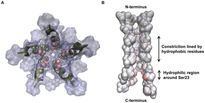 https://cdn.ncbi.nlm.nih.gov/pmc/blobs/7b81/4231112/9a17c5c779d5/pone.0112983.g002.jpg