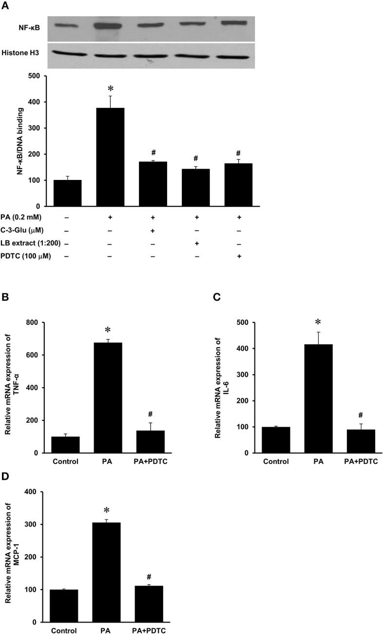https://cdn.ncbi.nlm.nih.gov/pmc/blobs/7b81/7119336/523ff22c0431/fmed-07-00080-g0008.jpg