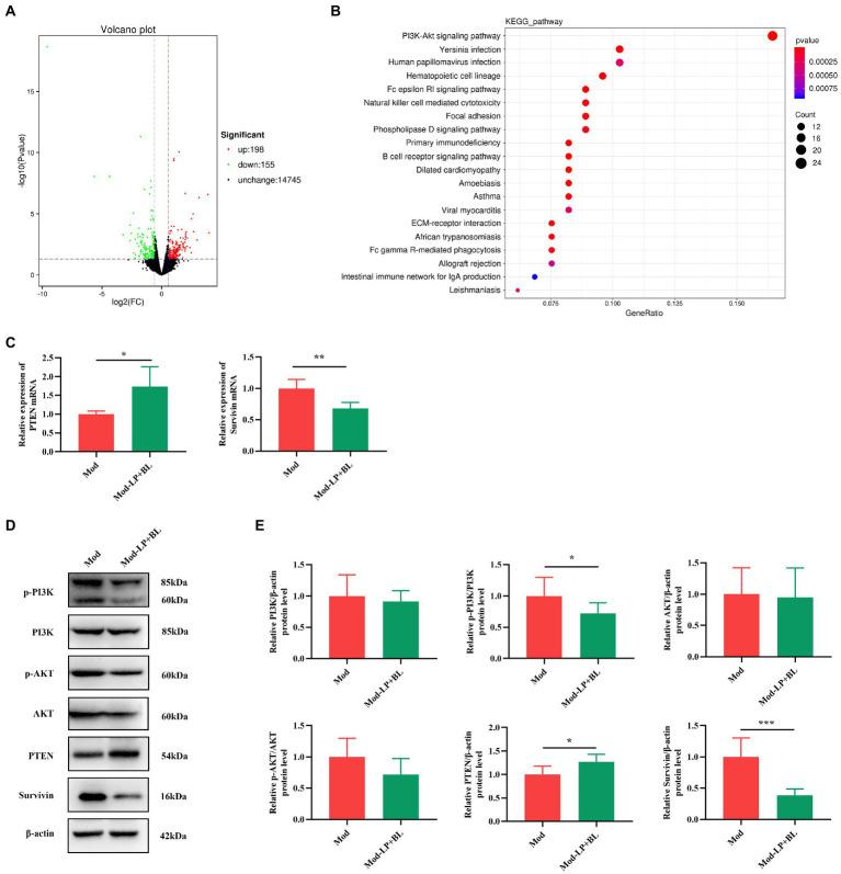 https://cdn.ncbi.nlm.nih.gov/pmc/blobs/7b84/9486703/28e39fff71be/fmicb-13-986837-g004.jpg