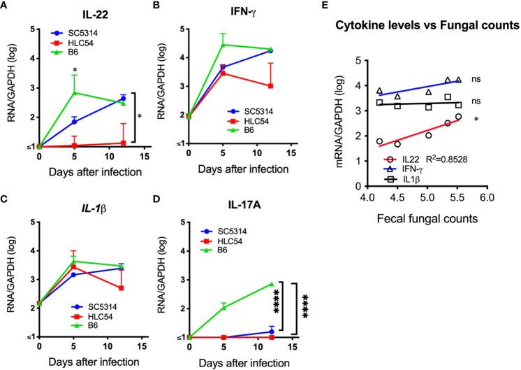 https://cdn.ncbi.nlm.nih.gov/pmc/blobs/7b87/10828038/37e8160d7649/fcimb-13-1278600-g007.jpg