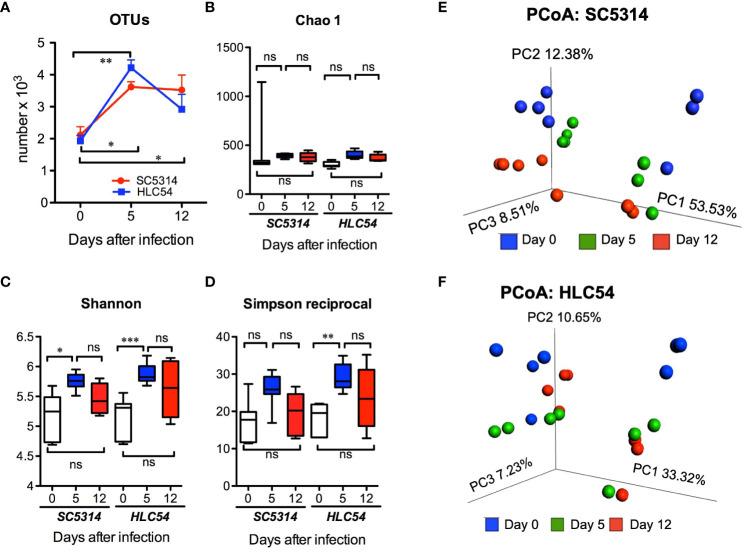 https://cdn.ncbi.nlm.nih.gov/pmc/blobs/7b87/10828038/9e9bfdaae01a/fcimb-13-1278600-g002.jpg