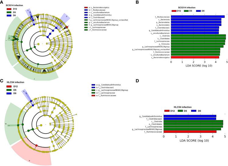 https://cdn.ncbi.nlm.nih.gov/pmc/blobs/7b87/10828038/bac97749c62b/fcimb-13-1278600-g005.jpg