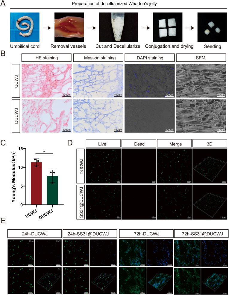 https://cdn.ncbi.nlm.nih.gov/pmc/blobs/7b87/12032180/3d0b122d694a/gr4.jpg
