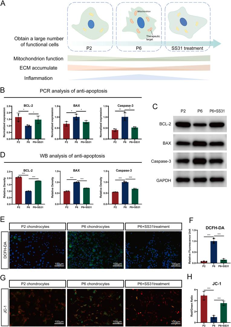https://cdn.ncbi.nlm.nih.gov/pmc/blobs/7b87/12032180/81a572fcbd32/gr3.jpg