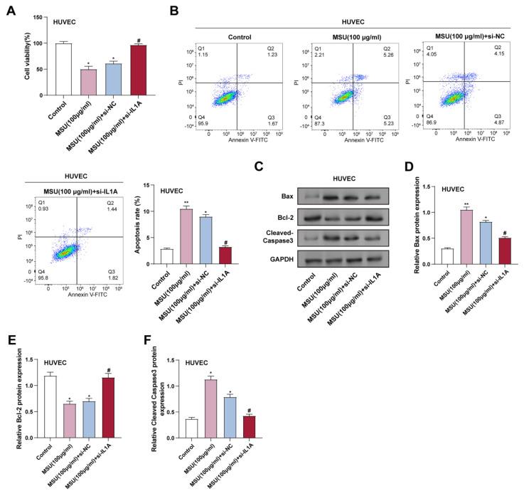 https://cdn.ncbi.nlm.nih.gov/pmc/blobs/7b87/12244086/81ba337dc600/ijmsv22p3070g002.jpg