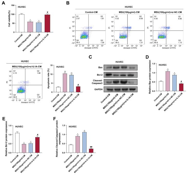 https://cdn.ncbi.nlm.nih.gov/pmc/blobs/7b87/12244086/fac85d6b9d4a/ijmsv22p3070g004.jpg