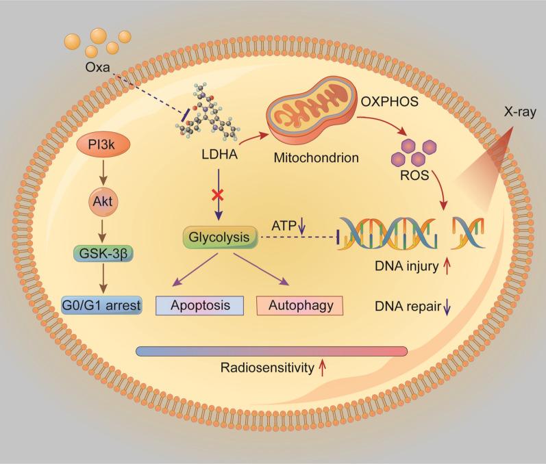 https://cdn.ncbi.nlm.nih.gov/pmc/blobs/7b89/8074241/97ea68af08f1/12967_2021_2825_Fig8_HTML.jpg