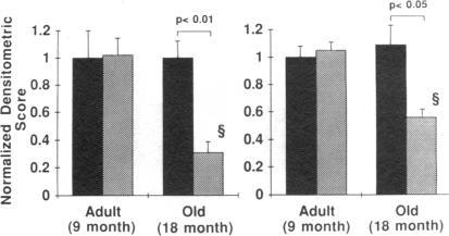 https://cdn.ncbi.nlm.nih.gov/pmc/blobs/7b8b/442941/5d4cc33f00f1/jcinvest00047-0233-b.jpg