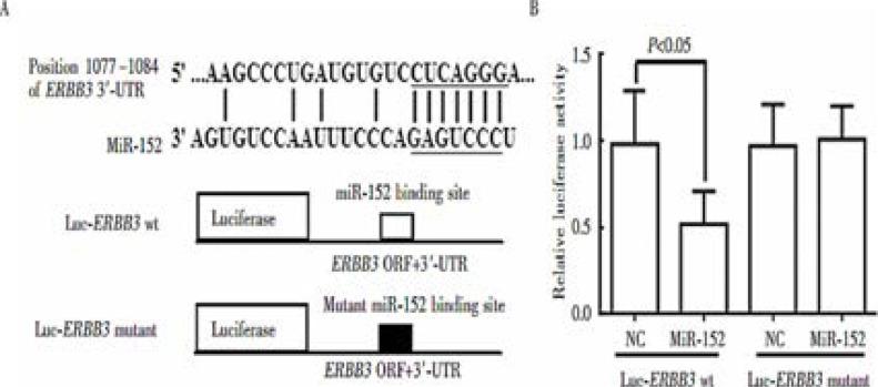 https://cdn.ncbi.nlm.nih.gov/pmc/blobs/7b8f/10782345/1c751bbc6cba/AFHS2302-0246Fig7.jpg