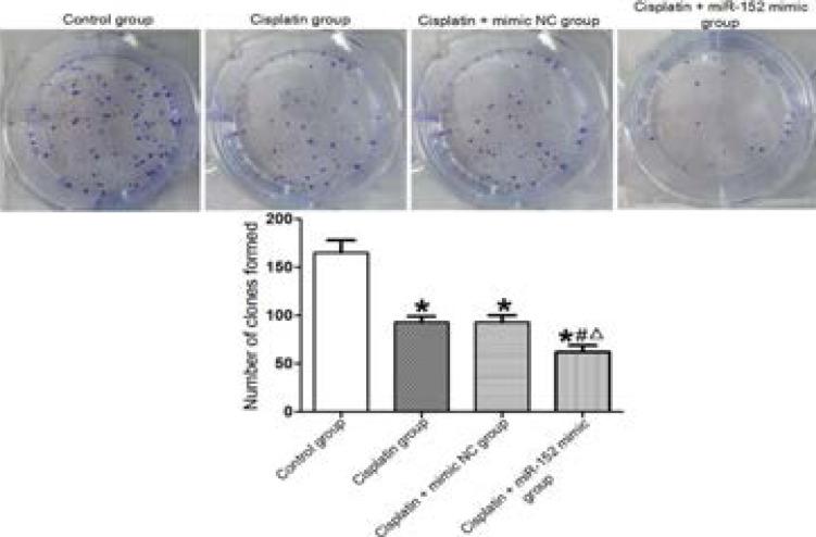 https://cdn.ncbi.nlm.nih.gov/pmc/blobs/7b8f/10782345/424da9f6a2ea/AFHS2302-0246Fig4.jpg