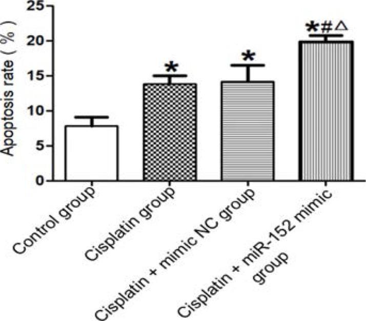 https://cdn.ncbi.nlm.nih.gov/pmc/blobs/7b8f/10782345/55f41db2dc52/AFHS2302-0246Fig5.jpg
