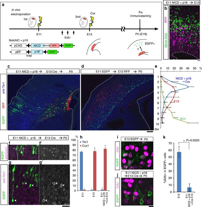https://cdn.ncbi.nlm.nih.gov/pmc/blobs/7b91/4842982/5f7961a6b42a/ncomms11349-f6.jpg