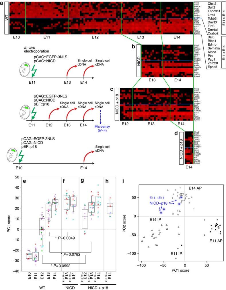 https://cdn.ncbi.nlm.nih.gov/pmc/blobs/7b91/4842982/781ae83b80bf/ncomms11349-f4.jpg