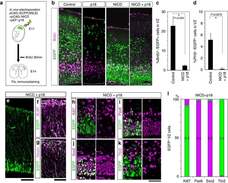 https://cdn.ncbi.nlm.nih.gov/pmc/blobs/7b91/4842982/a626070e2536/ncomms11349-f5.jpg