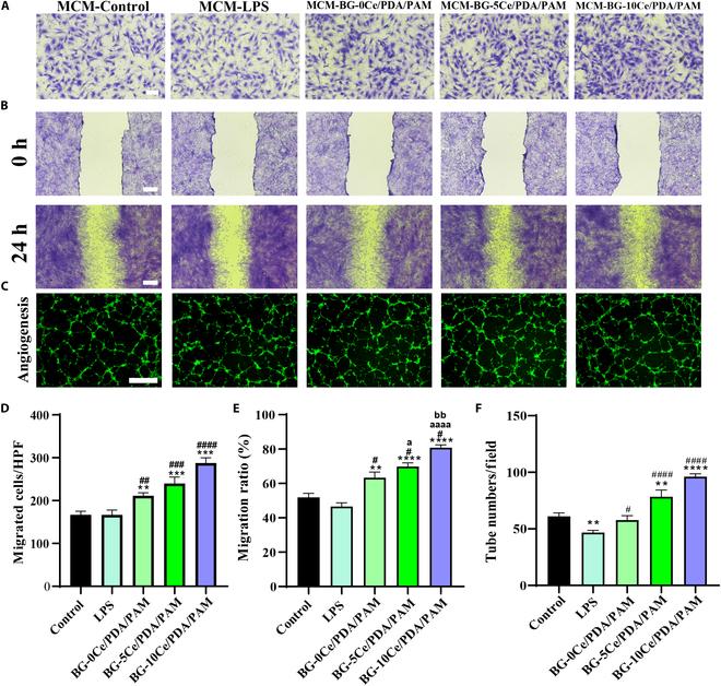 https://cdn.ncbi.nlm.nih.gov/pmc/blobs/7b92/11403469/1f49a9d000cc/bmr.0066.fig.006.jpg