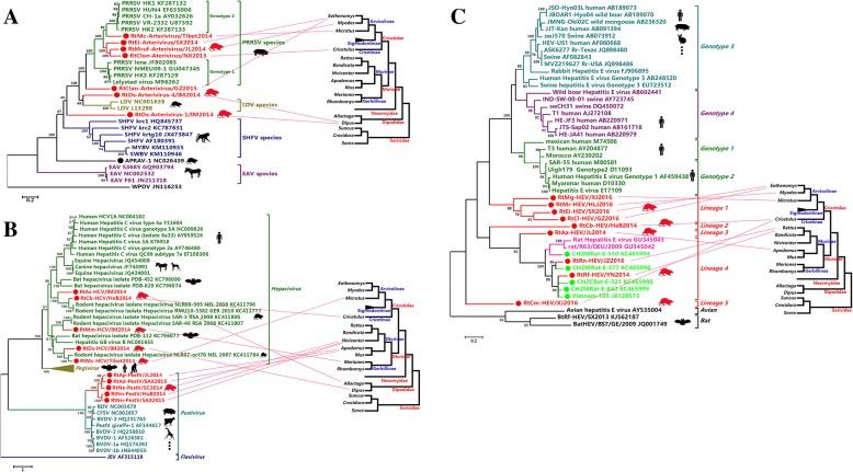 https://cdn.ncbi.nlm.nih.gov/pmc/blobs/7b92/6171170/4636e350ba3a/40168_2018_554_Fig4_HTML.jpg