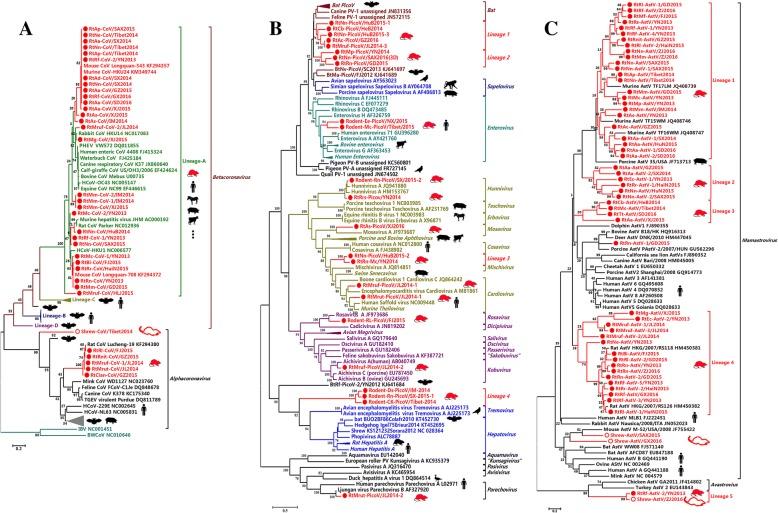 https://cdn.ncbi.nlm.nih.gov/pmc/blobs/7b92/6171170/6fab699d5199/40168_2018_554_Fig5_HTML.jpg