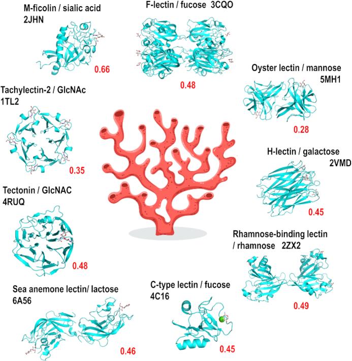 https://cdn.ncbi.nlm.nih.gov/pmc/blobs/7b93/7778903/8655b31543d3/gkaa1019fig3.jpg