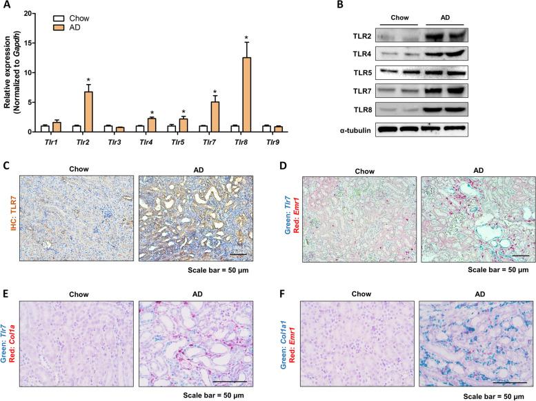 https://cdn.ncbi.nlm.nih.gov/pmc/blobs/7b94/10439664/e7c9f9507a89/12964_2023_1234_Fig1_HTML.jpg