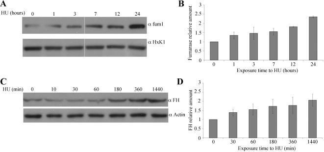 https://cdn.ncbi.nlm.nih.gov/pmc/blobs/7b94/2834712/18f8e0dc14e4/pbio.1000328.g004.jpg