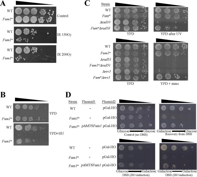 https://cdn.ncbi.nlm.nih.gov/pmc/blobs/7b94/2834712/2d3c02b9246c/pbio.1000328.g002.jpg