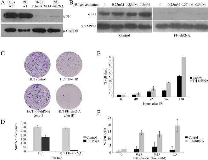 https://cdn.ncbi.nlm.nih.gov/pmc/blobs/7b94/2834712/ce6e03f57f62/pbio.1000328.g006.jpg