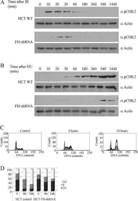 https://cdn.ncbi.nlm.nih.gov/pmc/blobs/7b94/2834712/d09e87b7931c/pbio.1000328.g008.jpg