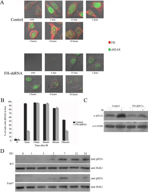https://cdn.ncbi.nlm.nih.gov/pmc/blobs/7b94/2834712/d834435845ff/pbio.1000328.g007.jpg
