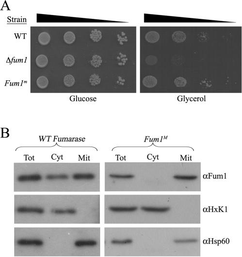 https://cdn.ncbi.nlm.nih.gov/pmc/blobs/7b94/2834712/f03ef474856e/pbio.1000328.g001.jpg
