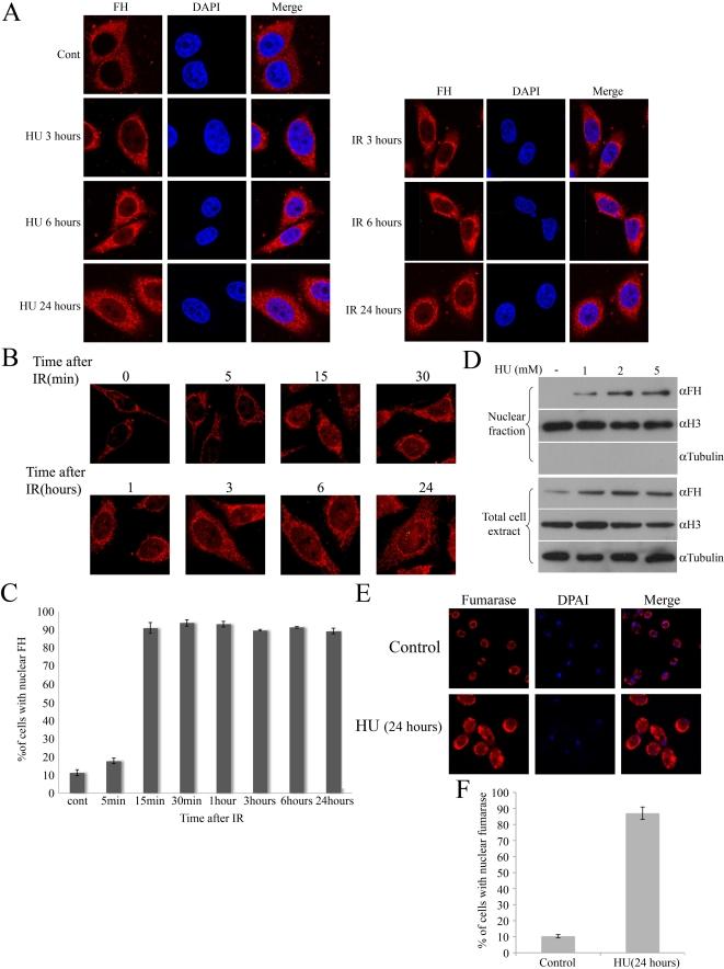 https://cdn.ncbi.nlm.nih.gov/pmc/blobs/7b94/2834712/f068f32aca3d/pbio.1000328.g005.jpg