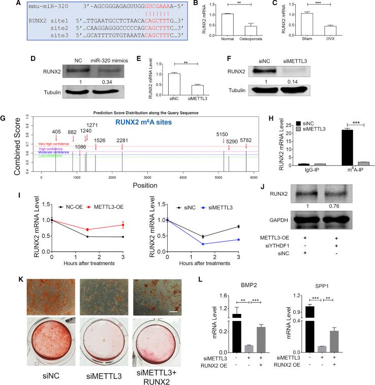 https://cdn.ncbi.nlm.nih.gov/pmc/blobs/7b94/6940653/47e8e769d065/gr7.jpg