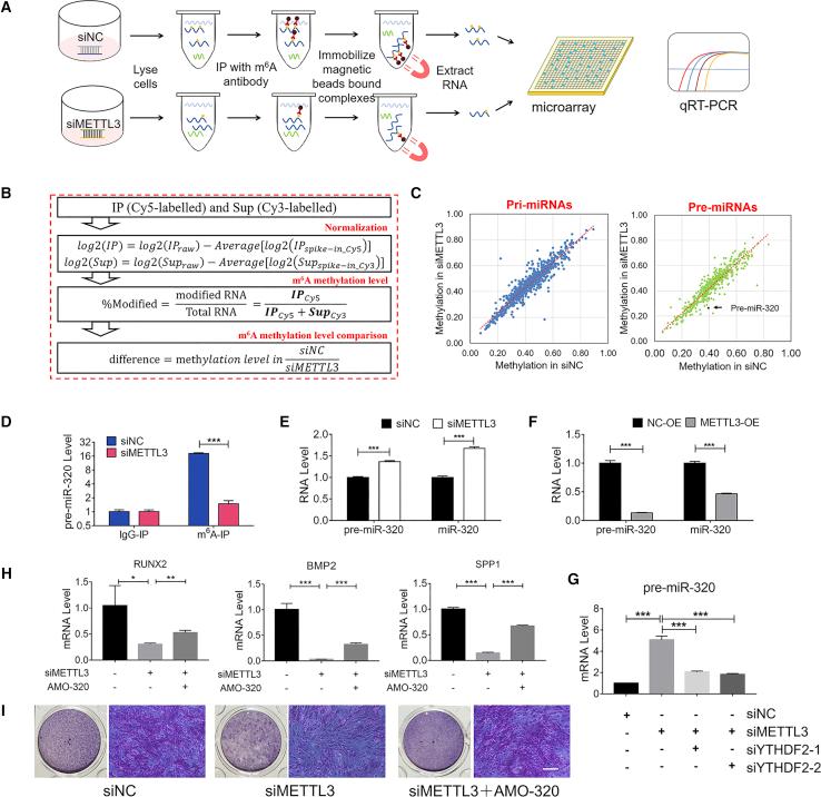https://cdn.ncbi.nlm.nih.gov/pmc/blobs/7b94/6940653/68bb8b900bd5/gr6.jpg