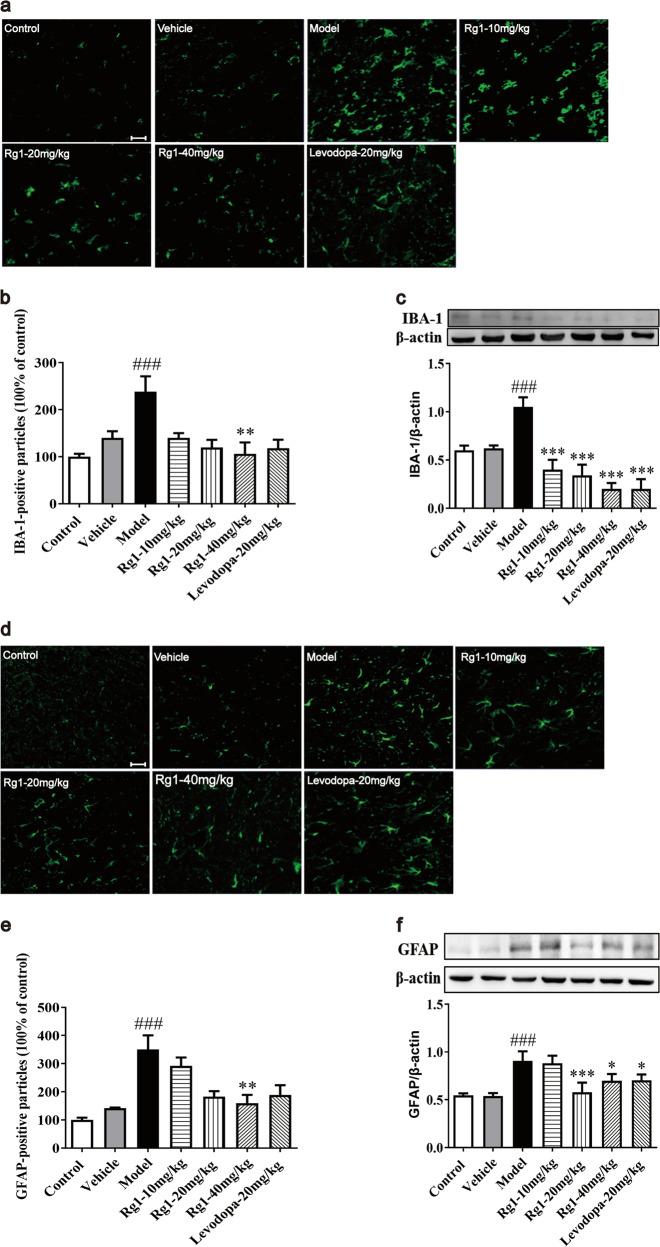 https://cdn.ncbi.nlm.nih.gov/pmc/blobs/7b96/7656590/5fa83922dcd5/41401_2020_358_Fig4_HTML.jpg