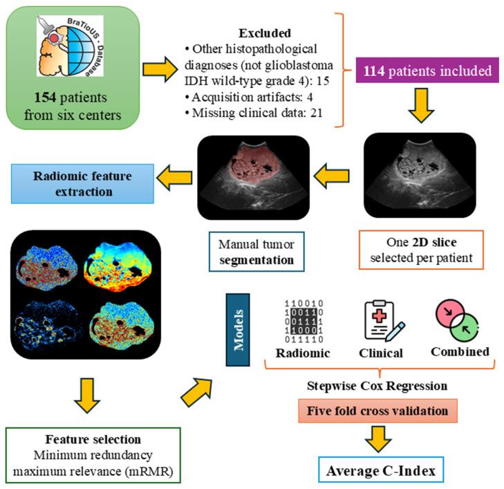 https://cdn.ncbi.nlm.nih.gov/pmc/blobs/7b97/11763491/494a18f3b582/cancers-17-00280-g001.jpg