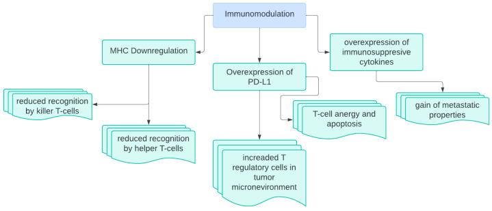 https://cdn.ncbi.nlm.nih.gov/pmc/blobs/7b97/12190830/b76da1503513/biomedicines-13-01452-g001.jpg