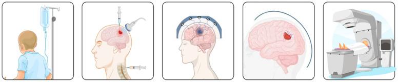 https://cdn.ncbi.nlm.nih.gov/pmc/blobs/7b97/12190830/f3a3e1835f00/biomedicines-13-01452-g002.jpg