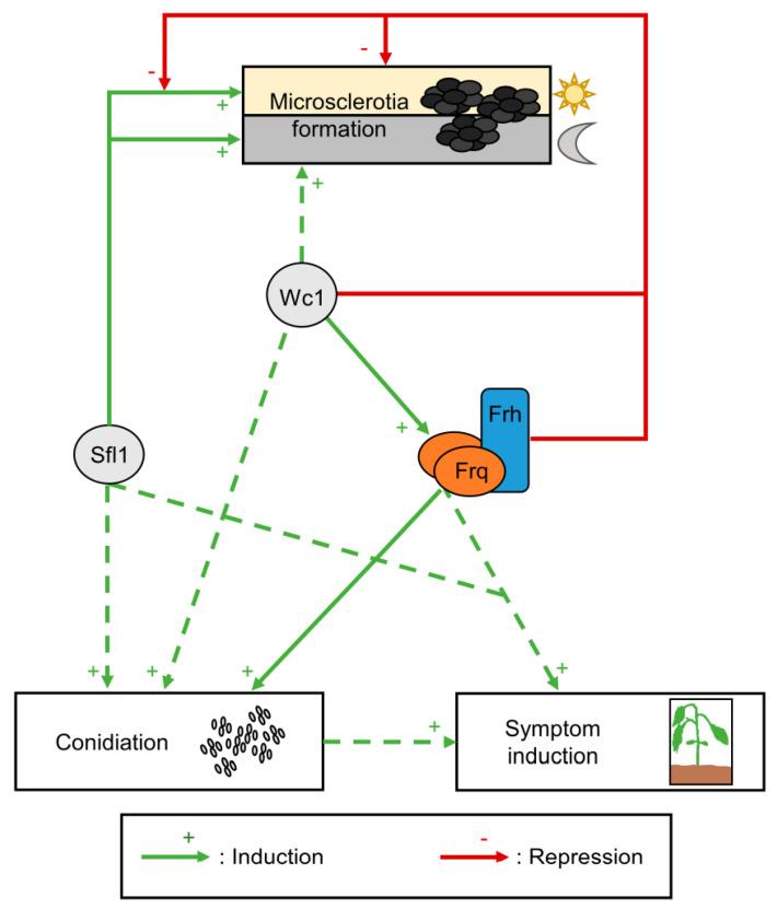 https://cdn.ncbi.nlm.nih.gov/pmc/blobs/7b98/10381341/b507dc132292/jof-09-00725-g011.jpg