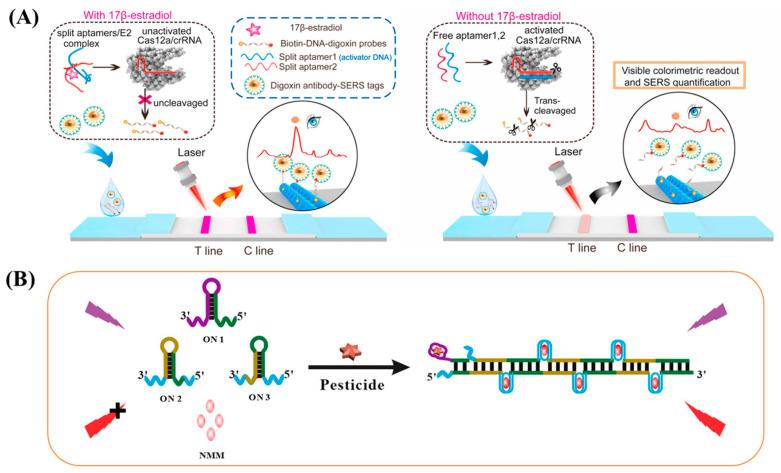 https://cdn.ncbi.nlm.nih.gov/pmc/blobs/7b99/11764255/151af42bfb0f/biosensors-15-00029-g007.jpg