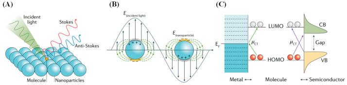 https://cdn.ncbi.nlm.nih.gov/pmc/blobs/7b99/11764255/2f60e2a9df3f/biosensors-15-00029-g008.jpg