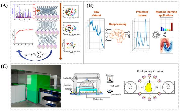https://cdn.ncbi.nlm.nih.gov/pmc/blobs/7b99/11764255/69c5bba21388/biosensors-15-00029-g012.jpg