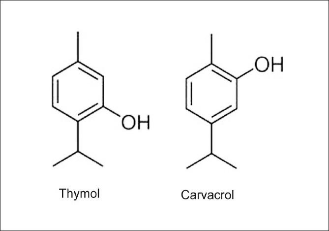 https://cdn.ncbi.nlm.nih.gov/pmc/blobs/7b9a/2950374/99d0f68f0384/PM-6-154-g001.jpg