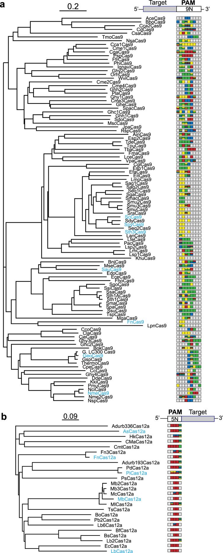 https://cdn.ncbi.nlm.nih.gov/pmc/blobs/7b9a/7822910/a56d86157331/41467_2020_20633_Fig2_HTML.jpg