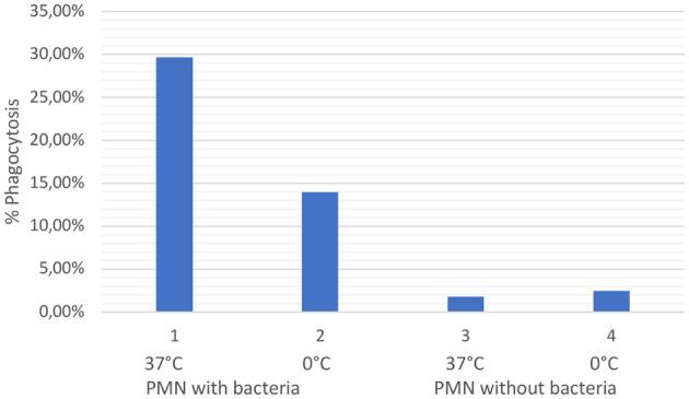 https://cdn.ncbi.nlm.nih.gov/pmc/blobs/7b9b/10315531/e7efa479dc58/fvets-10-1176144-g0003.jpg