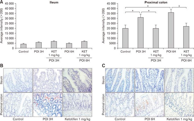 https://cdn.ncbi.nlm.nih.gov/pmc/blobs/7b9b/8521477/b3304c43e2d5/jnm-27-4-639-f4.jpg