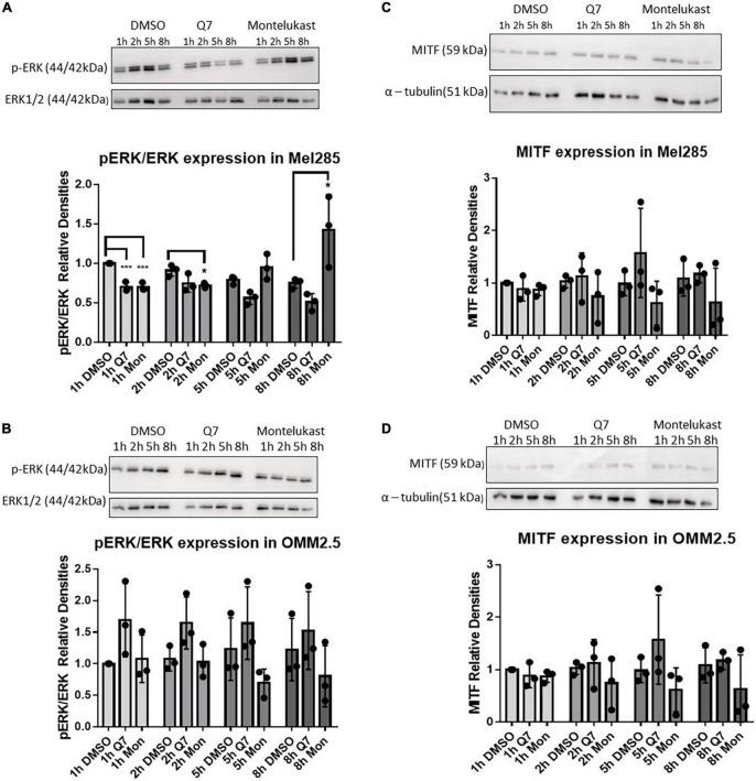 https://cdn.ncbi.nlm.nih.gov/pmc/blobs/7b9e/9868667/11b781338cf0/fmed-09-1036322-g004.jpg