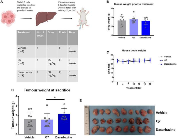https://cdn.ncbi.nlm.nih.gov/pmc/blobs/7b9e/9868667/8ce26eadaf8a/fmed-09-1036322-g005.jpg
